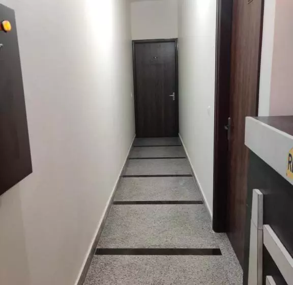 Hotel Casio
