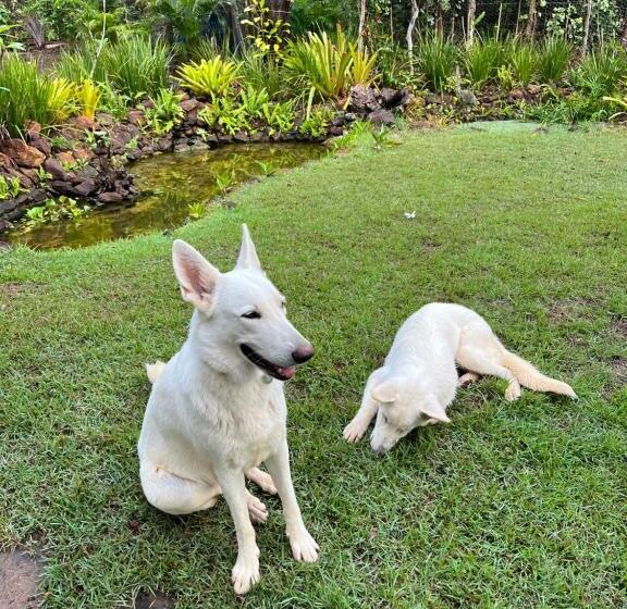 فندق Quinta Do Sossego