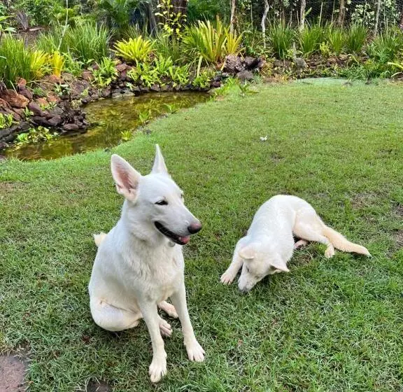 Hotelli Quinta Do Sossego