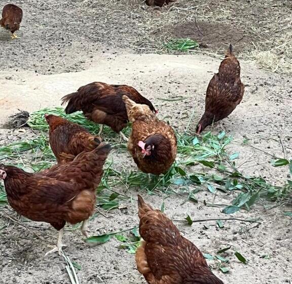 فندق Quinta Do Sossego