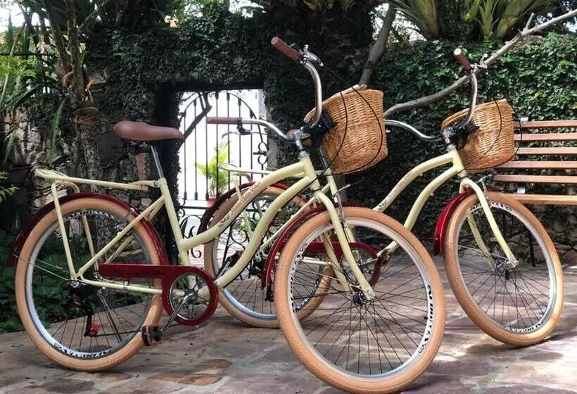 ホテル Refúgio Na Serra Boutique