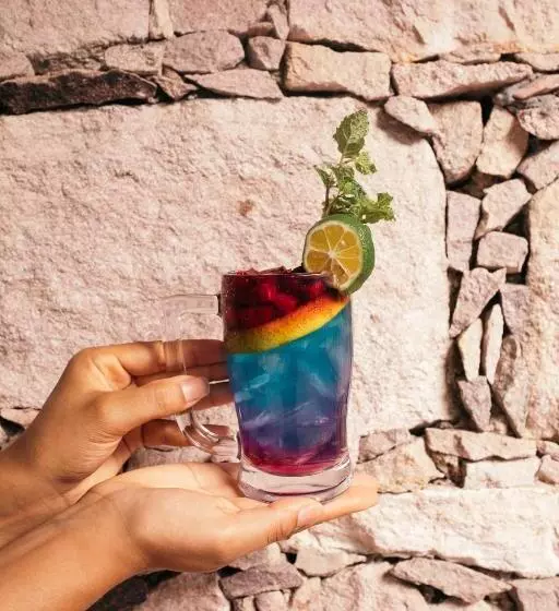 ホテル Refúgio Na Serra Boutique