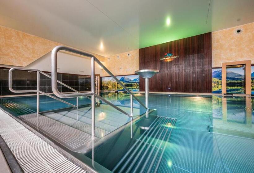 Отель Termály Malé Bielice