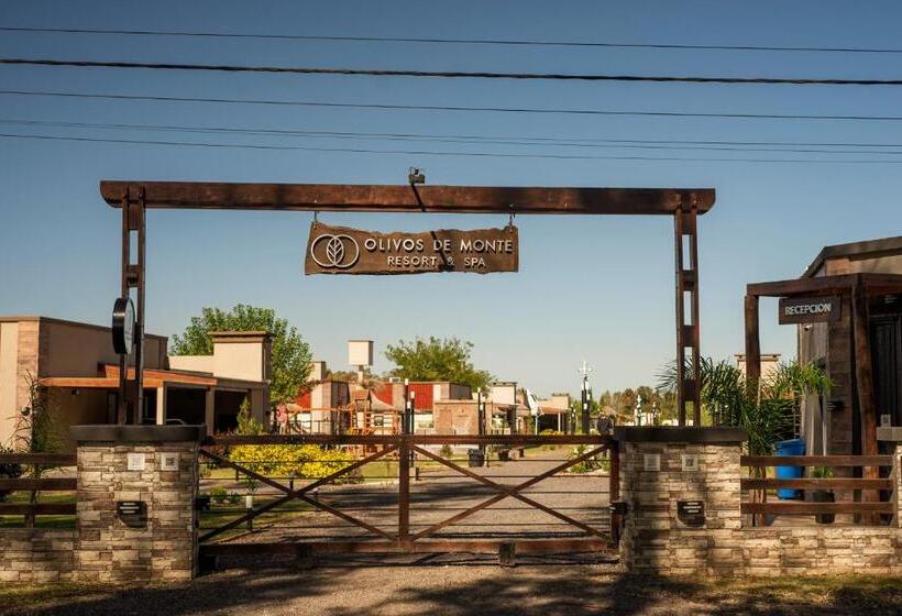 Olivos De Monte
