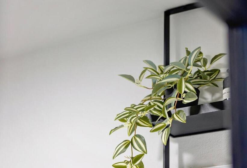 膳宿费 Complex Acom