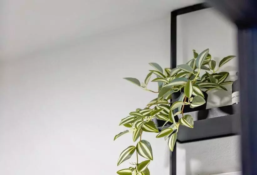 Majatalo Complex Acom