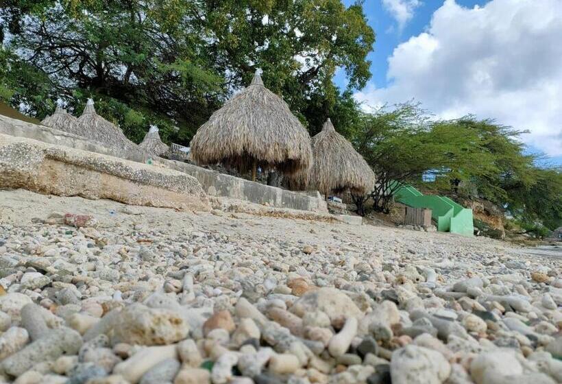 פנסיון Mi Casa Your Cass