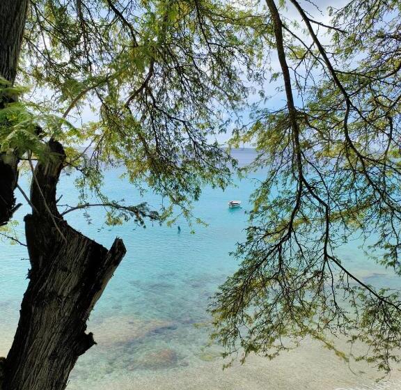 פנסיון Mi Casa Your Cass