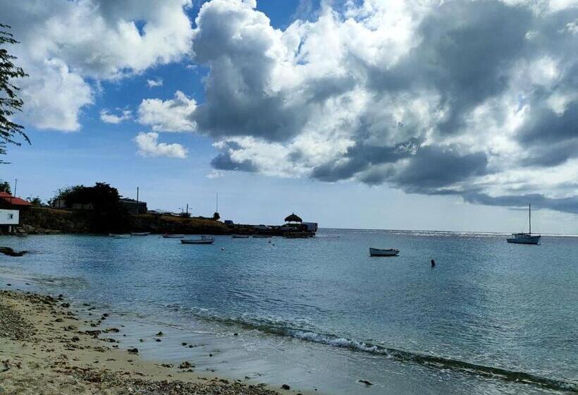 פנסיון Mi Casa Your Cass