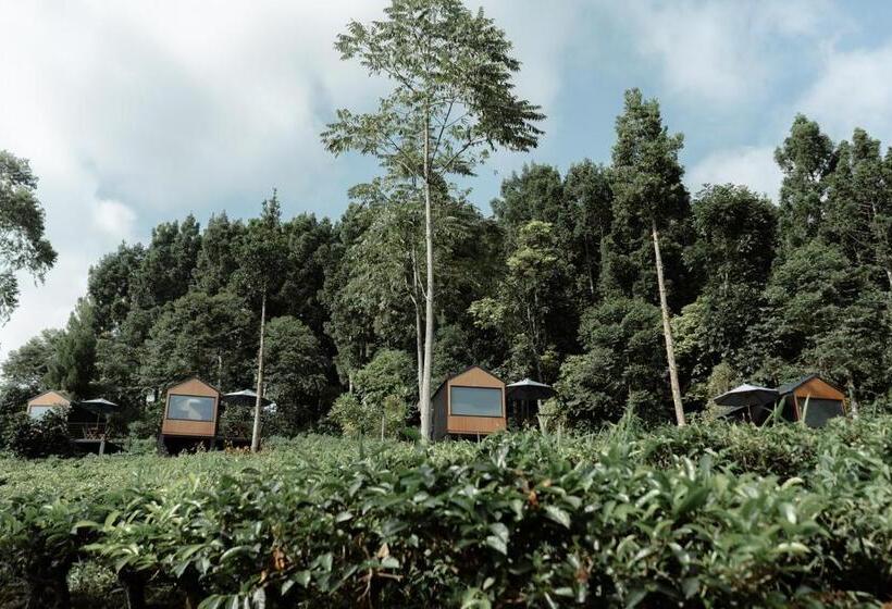 Resort Otel Bobocabin Dieng, Wonosobo