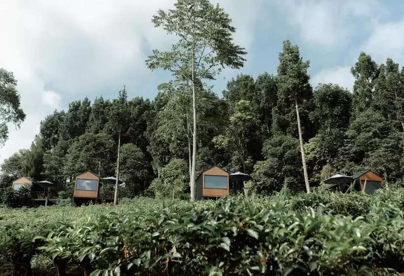 Resort Bobocabin Dieng, Wonosobo