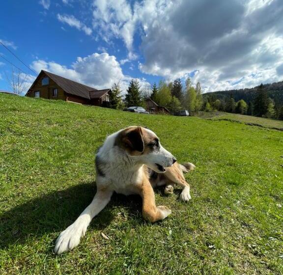 Cămin садиба одеса