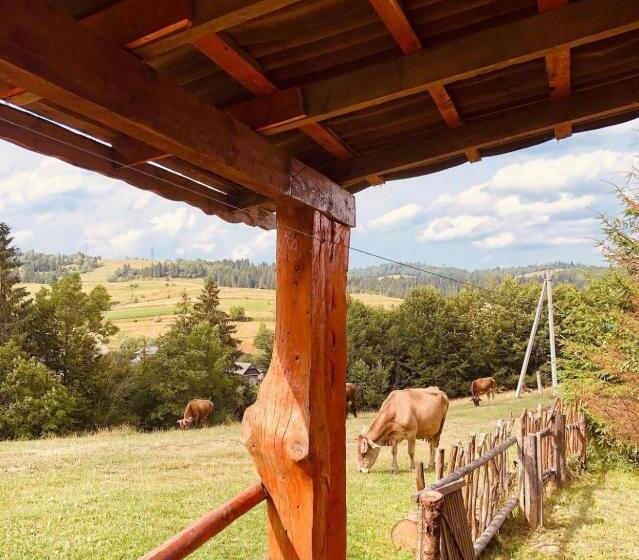 Cămin садиба одеса