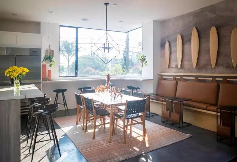 هاستل Haven Coliving