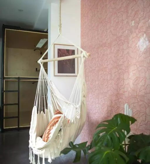 هاستل Haven Coliving