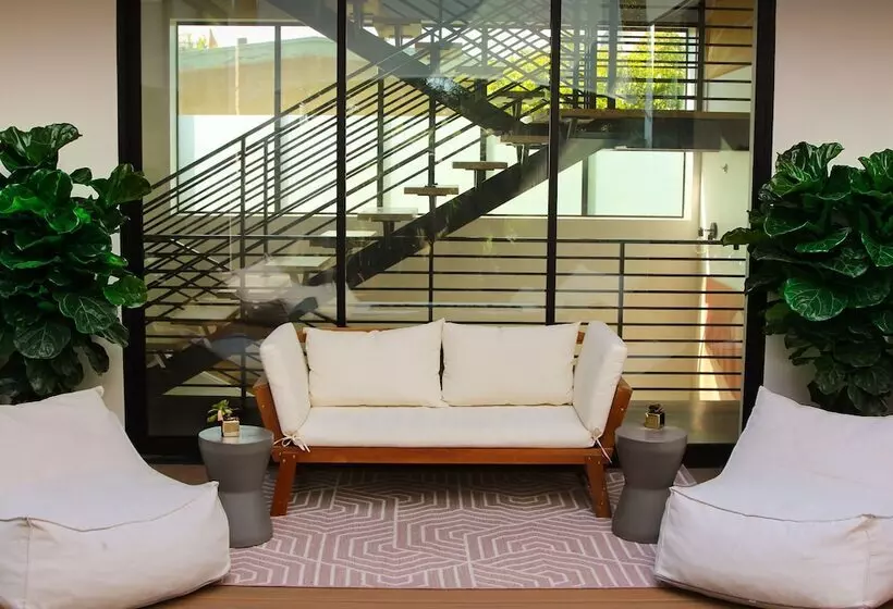 هاستل Haven Coliving