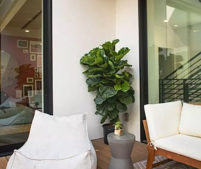 هاستل Haven Coliving