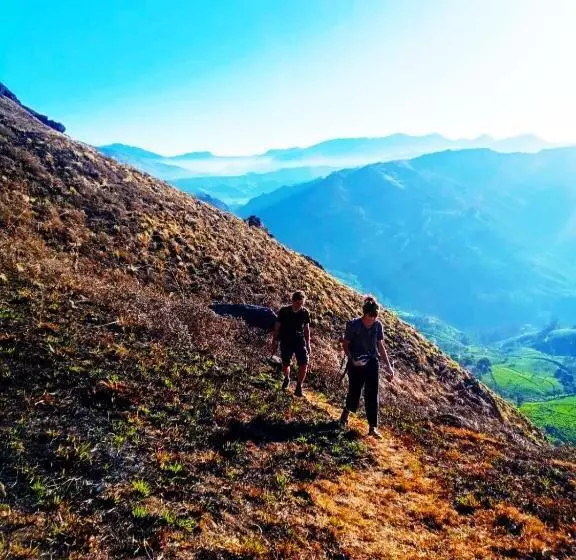 ベッドアンドブレックファースト Blackcherry Munnar