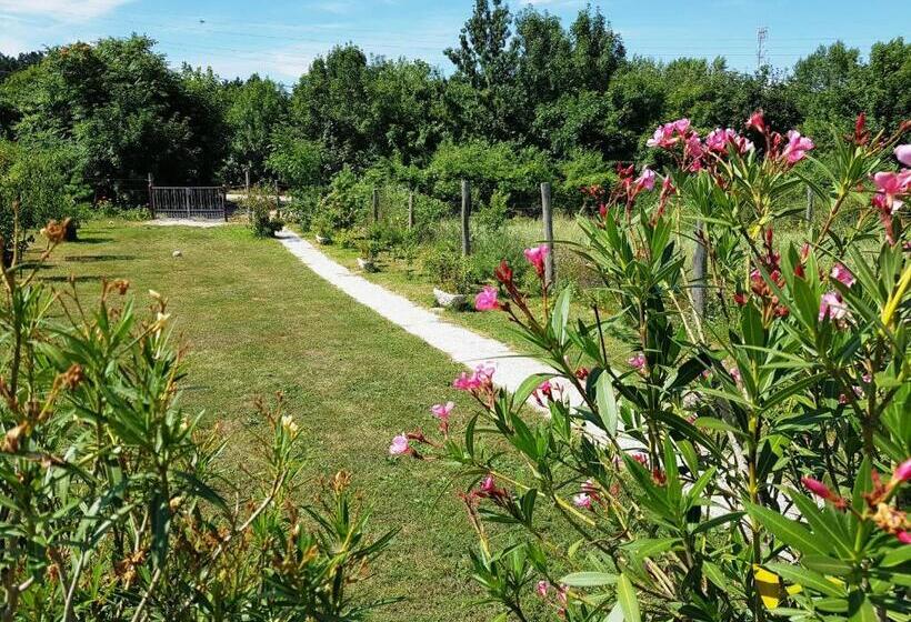 Bed and Breakfast Kincsesbánya