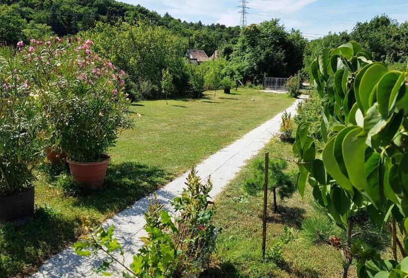 Bed and Breakfast Kincsesbánya