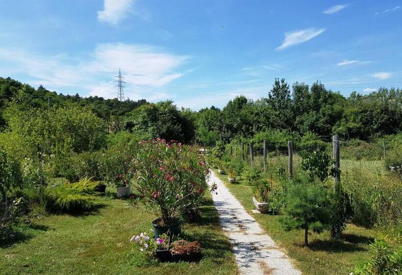 Bed and Breakfast Kincsesbánya