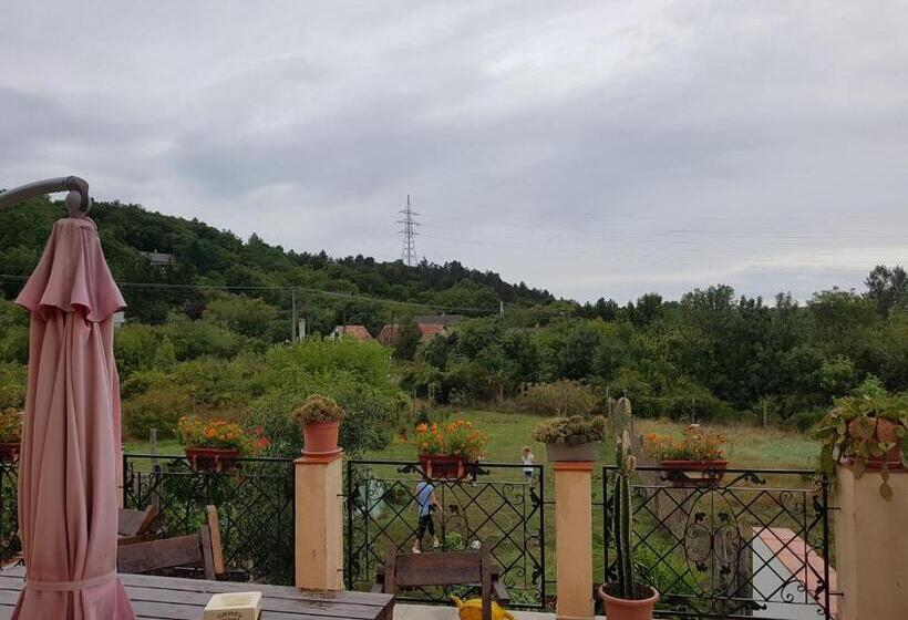 Bed and Breakfast Kincsesbánya