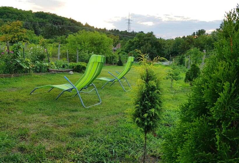 Bed and Breakfast Kincsesbánya