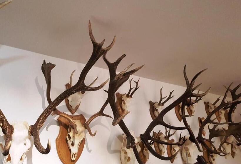 Bed and Breakfast Kincsesbánya