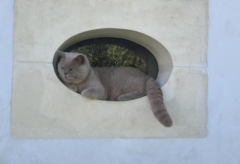 住宿加早餐  Les Jardins De Clerjotte