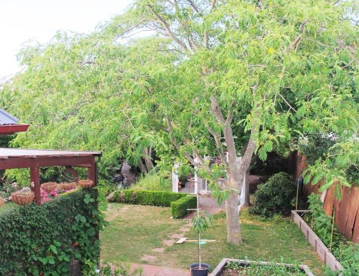 צימר The Old Vicarage Studio