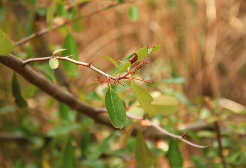 هتل Spa Venta Ticiano