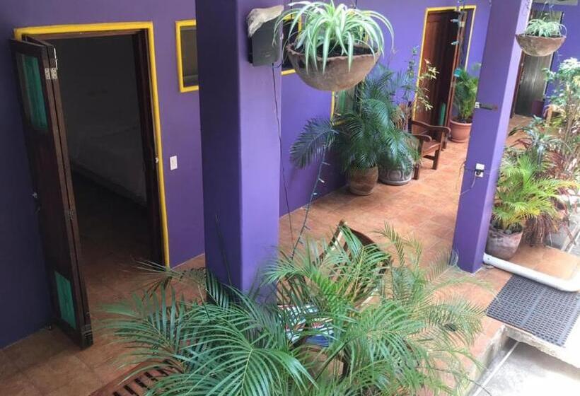 פנסיון Casa Romano Hostel