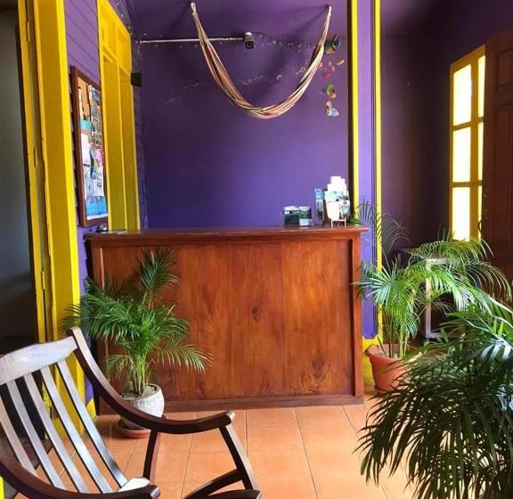 פנסיון Casa Romano Hostel