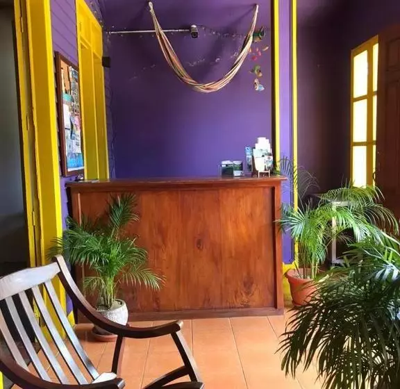 پانسیون Casa Romano Hostel