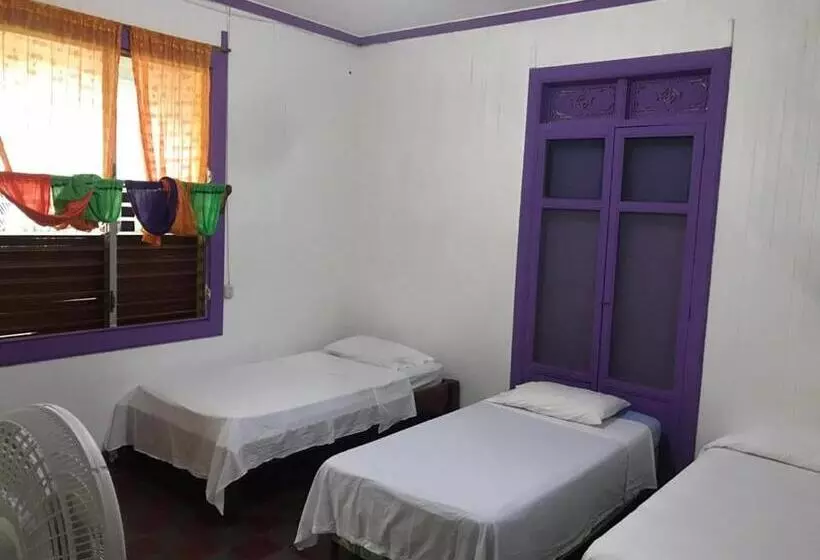 پانسیون Casa Romano Hostel