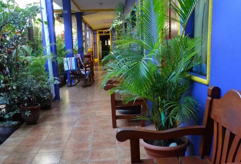 پانسیون Casa Romano Hostel
