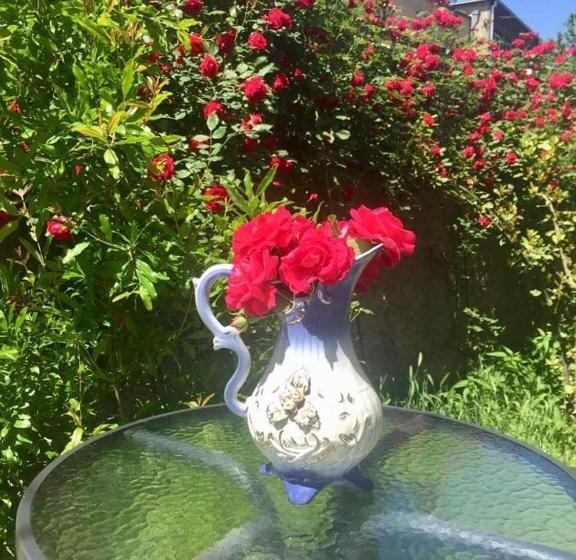 پانسیون House In The Nature