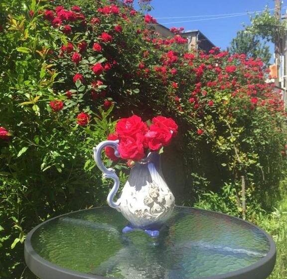 پانسیون House In The Nature