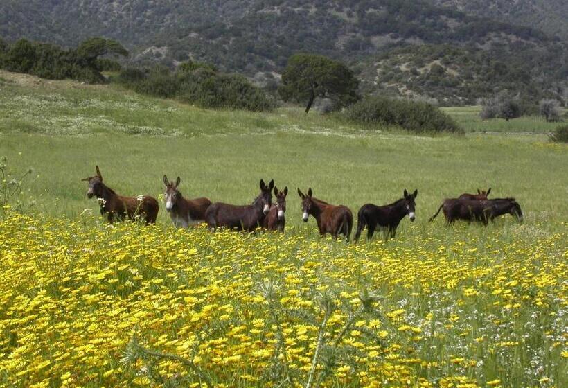 膳宿费 Nitovikla Hotel & Cave Restaurant & Pool An Authentic Local Experience !