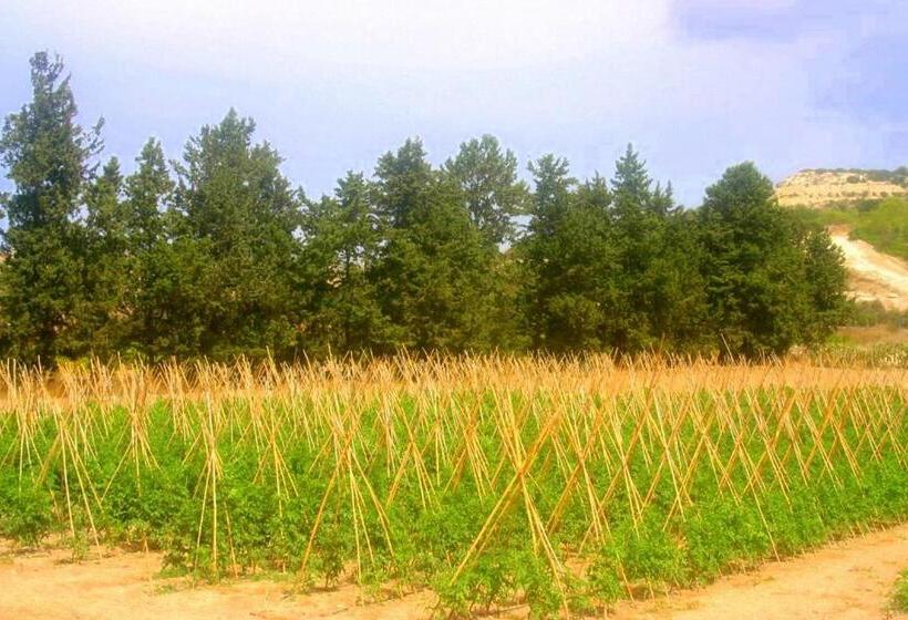 膳宿费 Nitovikla Hotel & Cave Restaurant & Pool An Authentic Local Experience !