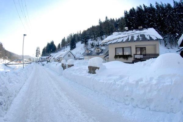 Pension Krupka 443 Ski Herlikovice A Bubákov