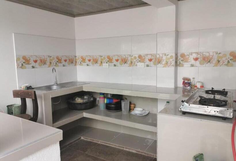 هاستل Bull Shark