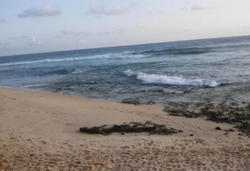 Alberg Shantha Surf Villa