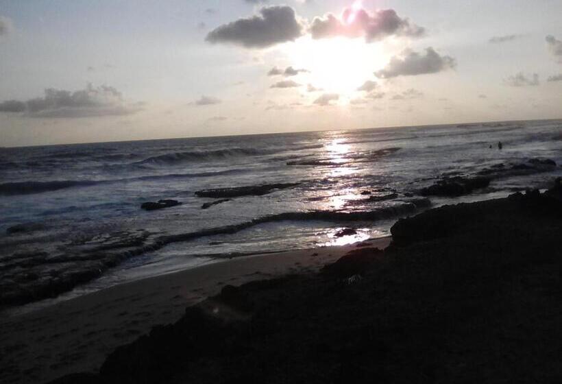 Alberg Shantha Surf Villa