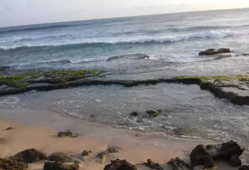 ユースホステル Shantha Surf Villa