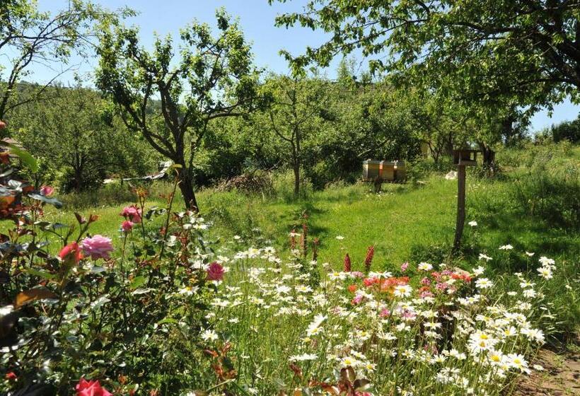 צימר Couleurs Nature