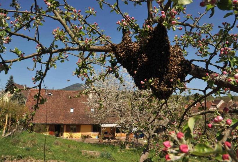 צימר Couleurs Nature