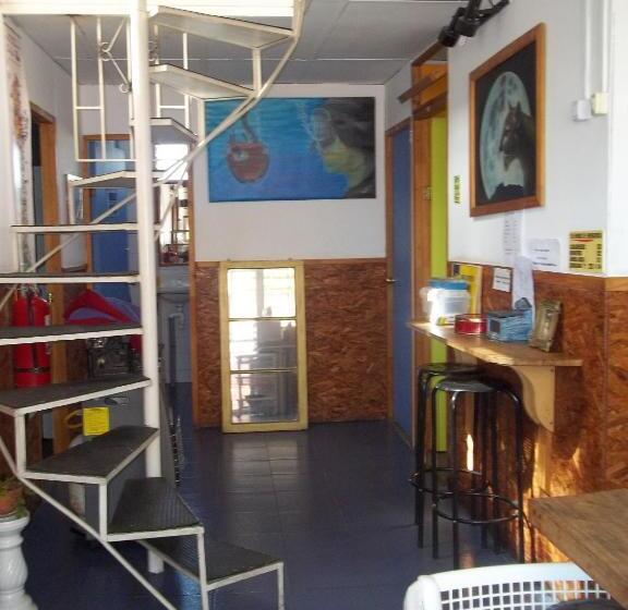 تختخواب و صبحانه Hostal Armando