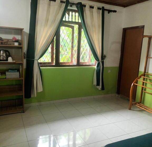 Bed and Breakfast Lovely Flowers In Mount Lavinia