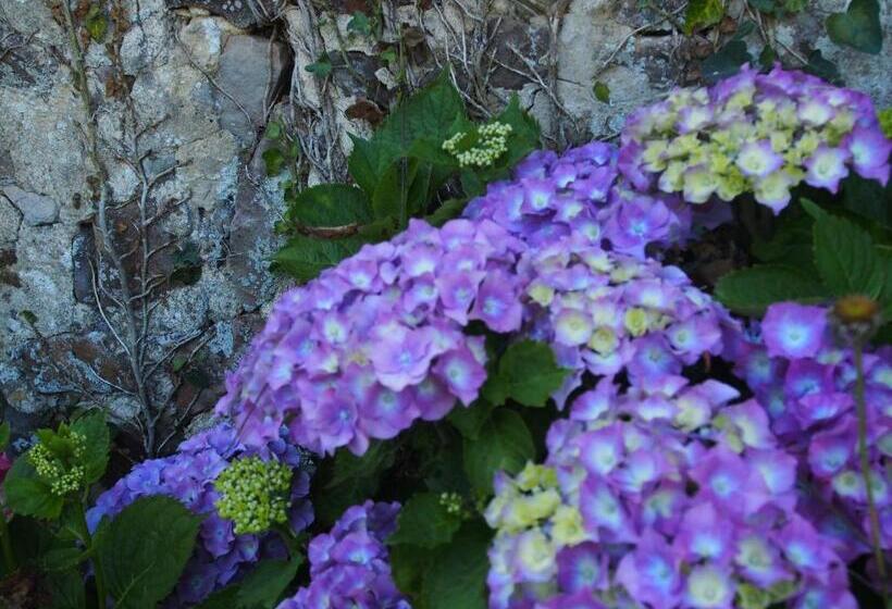 Bed and Breakfast Prieure St Pierre De La Luthumiere